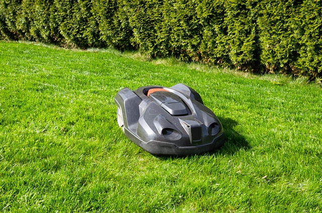 grass-3318960_640