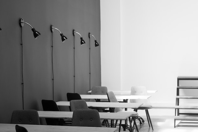 pexels-berendeyivanov-andreykobysnyn-2655461