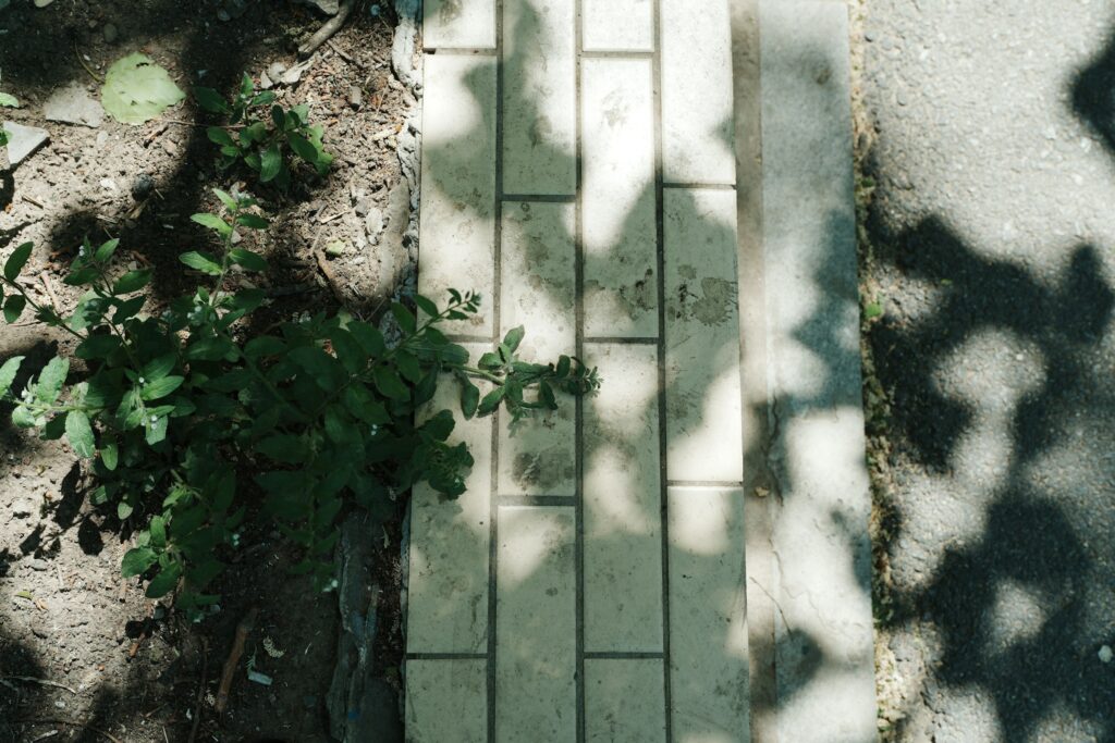 aiii-yoooo-O2YUP1GboPI-unsplash
