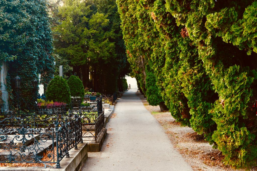 franziska-fischer-urban-Yl5JwlMoX7s-unsplash
