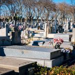pexels-alex-does-pictures-33201512-15549101 (1)