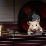 andy-holmes-NKuEFCmK-XE-unsplash